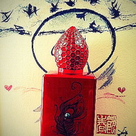 Qom Chilom von Stéphane Humbert Lucas