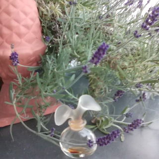 Chloé (1975) (Parfum) by Chloé