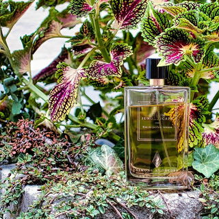 Tulum Junglescape - Simone Andreoli