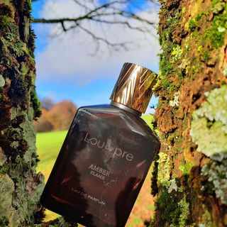 Amber Flame by Lou de Pre