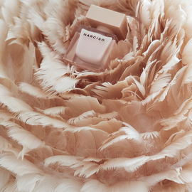 N°5 L'Eau (Eau de Toilette) - Chanel