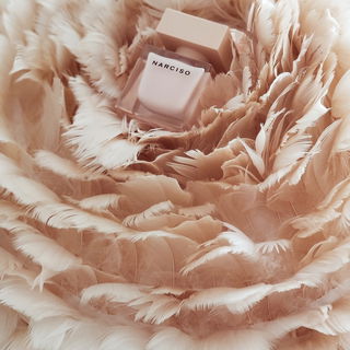 Narciso (Eau de Parfum Poudrée) by Narciso Rodriguez