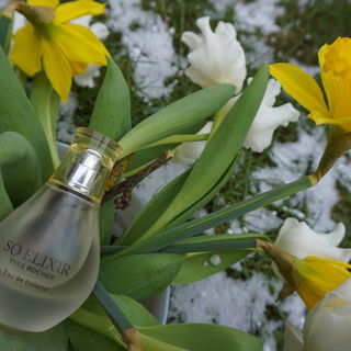 So Elixir (Eau de Toilette) - Yves Rocher