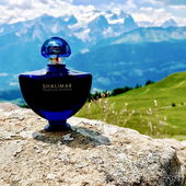 Shalimar goes swiss alps ;) (von Rosie88)