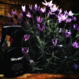 Twilight (Body Spray) - Lush