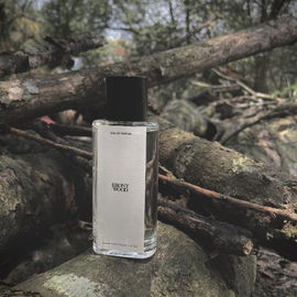 Ebony Wood (Eau de Parfum) / N°03 Ebony Wood - Zara