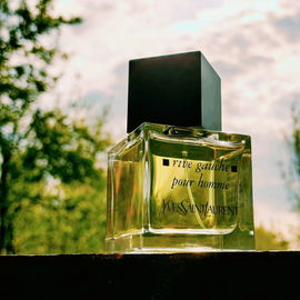 Rive Gauche pour Homme (2011) - Yves Saint Laurent