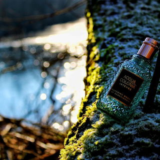 🌳🌲...In skandinavischen Wäldern🍀☀️...herzlichen Dank für Euren lieben Besuch und die schönen Kommentare - ich freu' mich! 😃🥰🌲