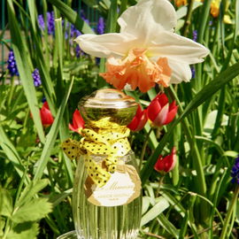Le Mimosa - Goutal