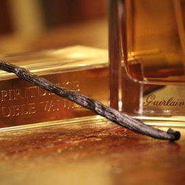 Spiritueuse Double Vanille - Guerlain