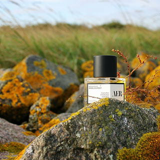 No. 09: Angelica Root - Raer Scents / AER Scents