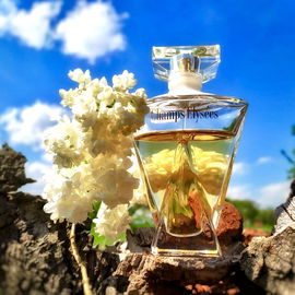 Champs-Élysées (Eau de Toilette) - Guerlain