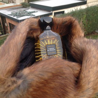 Larmes du Désert von Atelier des Ors