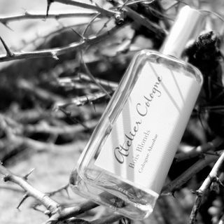 Bois Blonds - Atelier Cologne