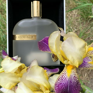 Opus V - Woods Symphony - Amouage