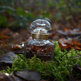 Mon Guerlain (Eau de Parfum) by Guerlain