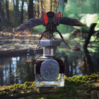 Próba Traw (2020) - The Elegance of... Scent