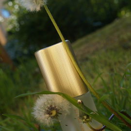 White Linen Breeze - Estēe Lauder