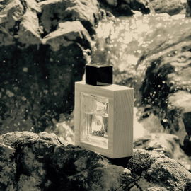 He Wood Ocean Wet Wood - Dsquared²