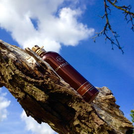 Aoud Musk - Montale