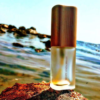 White Linen Breeze von Estēe Lauder