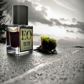 Hier dreht sich alles um Oud.Trocken.Ernst.Dunkel.Gelackt-vernarbte Strukturen. Fossil-Resin trifft medizinisch-heilende Kräuter.Besenginster-Tee klärt die Szene.Die krautige Frische des Lavendels ist in Wellen zu spüren.Vielen Dank allen.🧜‍♀️ (by Seejungfrau)