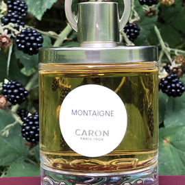 Montaigne (2021) - Caron