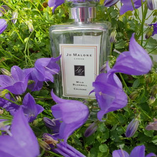 Wild Bluebell (Cologne) by Jo Malone