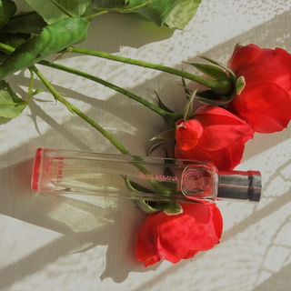 Rose Ikebana von Hermès