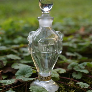 Diorama - Dior