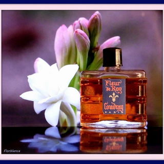 Fleur de Roy - E. Coudray