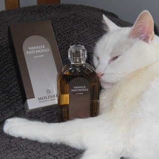 Vanille Patchouli (Eau de Toilette) von Molinard