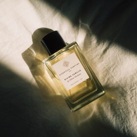 Shams Oud / Shams - Memo Paris