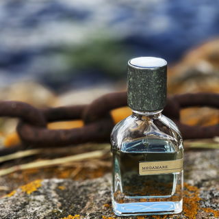 Follow our Instagram: designiche.frags for more beautiful pictures like this ;)