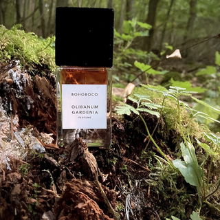 Olibanum Gardenia by Bohoboco