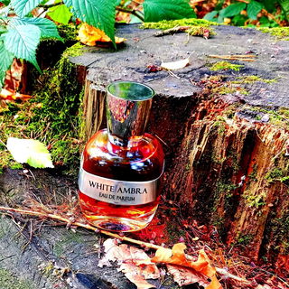 White Ambra - Omnia Profumi