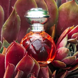 Demi-Jour (Eau de Parfum) - Houbigant