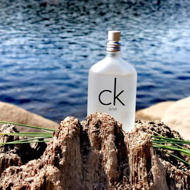 Der kleine CK One auf der Suche nach Abkühlung an der Talsperre...