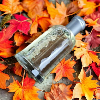 “Anyone who thinks fallen leaves are dead has never watched them dancing on a windy day.” 🍁🍂