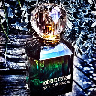 Gemma di Paradiso - Roberto Cavalli