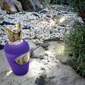 Few sunny rays at -10*C... (von VanAllan)