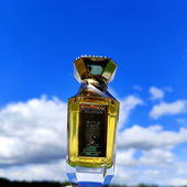 Danke für's Vorbeischauen🩵🩵🩵 (von DorisKa)