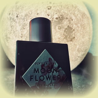 Moon Flower von Nature Blossom / Juniper Lane