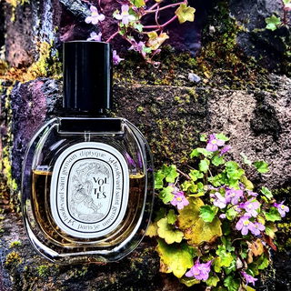 Volutes (Eau de Toilette) - Diptyque
