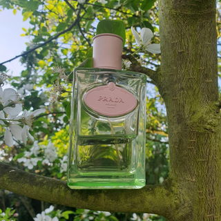 Infusion d'Iris L'Eau d'Iris by Prada