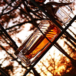 Jardins de Bagatelle (Eau de Parfum) - Guerlain