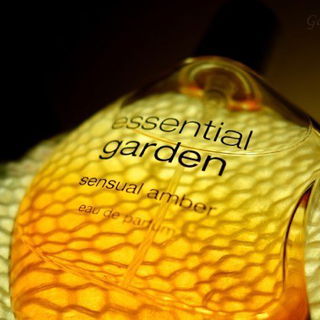 Sensual Amber - Essential Garden