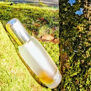 begleitet von einem blauen Stern mit Schmetterling  🌟 🦋