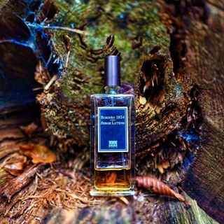 Bornéo 1834 - Serge Lutens