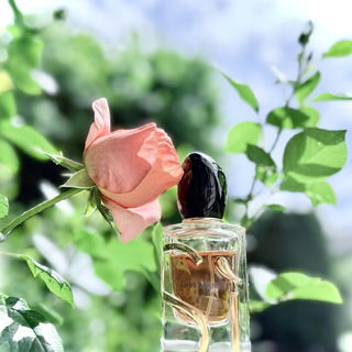 Sì (2023) (Eau de Parfum Intense) - Giorgio Armani